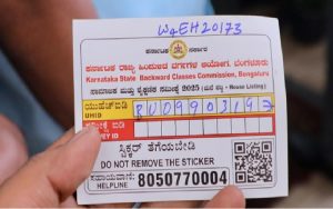 Karnataka Cast Survey